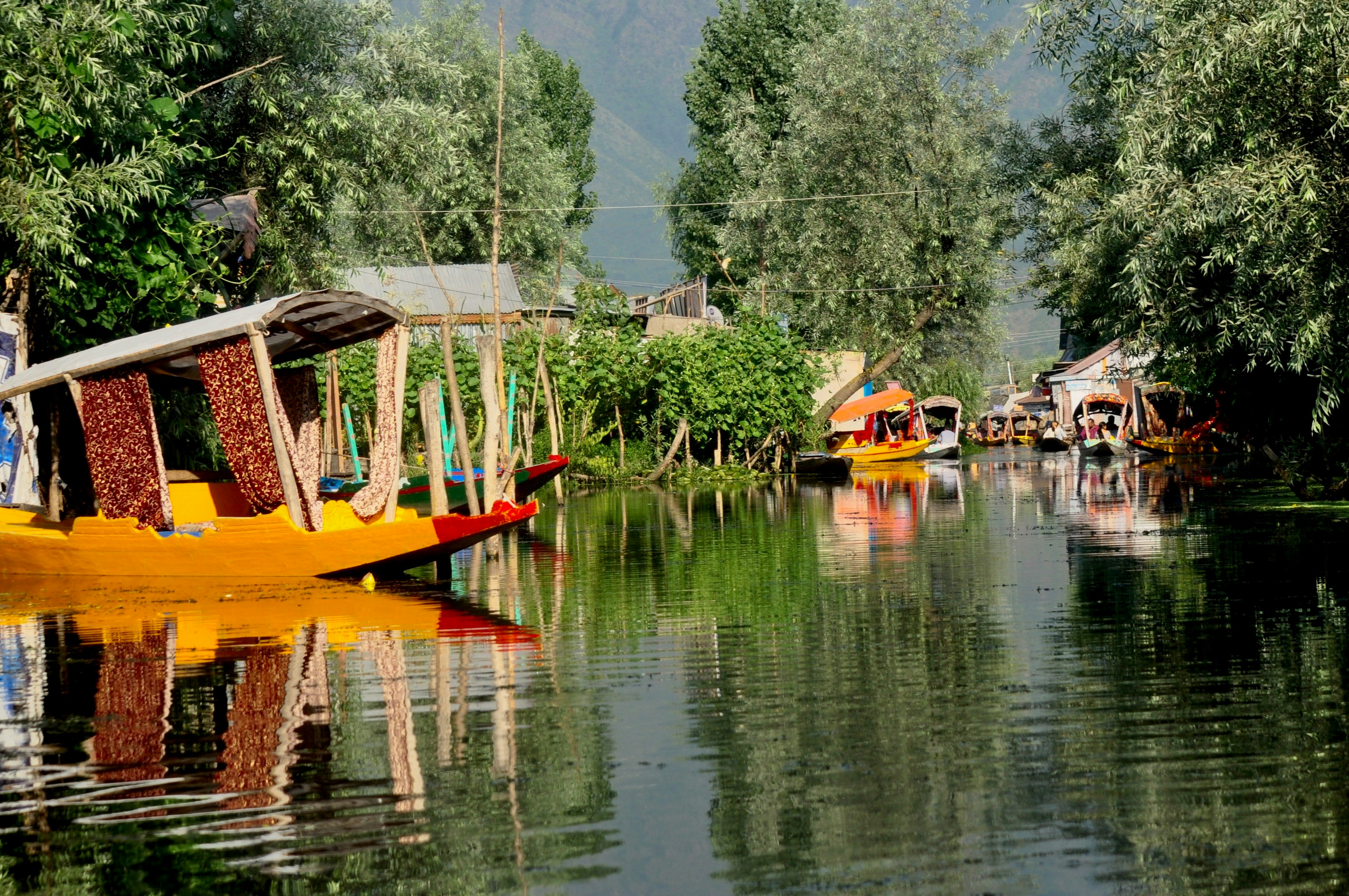 Magical Kashmir Tour